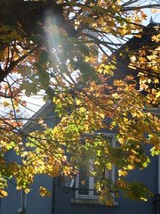 Sunny autumn afternoon - Photo of Langoëlan