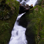 Stock Ghyll Force