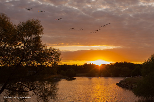 lake water clouds sunrise geese flock flight cpimageskansassunrisewatercolorskyreflectioncloudsoutdoorsnaturelakeparkderby