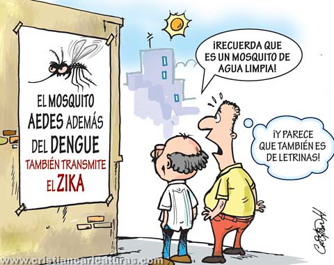 Zika y Dengue
