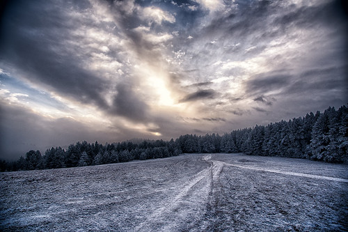 winter christmas snow tree forrest forest road sky slovakia hdr leadingline outdoor blue cold
