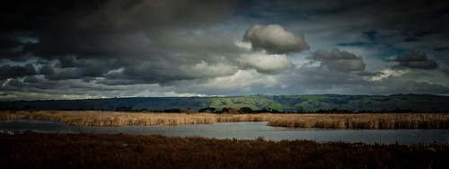 ca california cloud clouds cloudseastbay coyotehills eastbay eastbayregionalparks fremontca landscape marsh marshland sanfranciscobayarea water wildlife winter