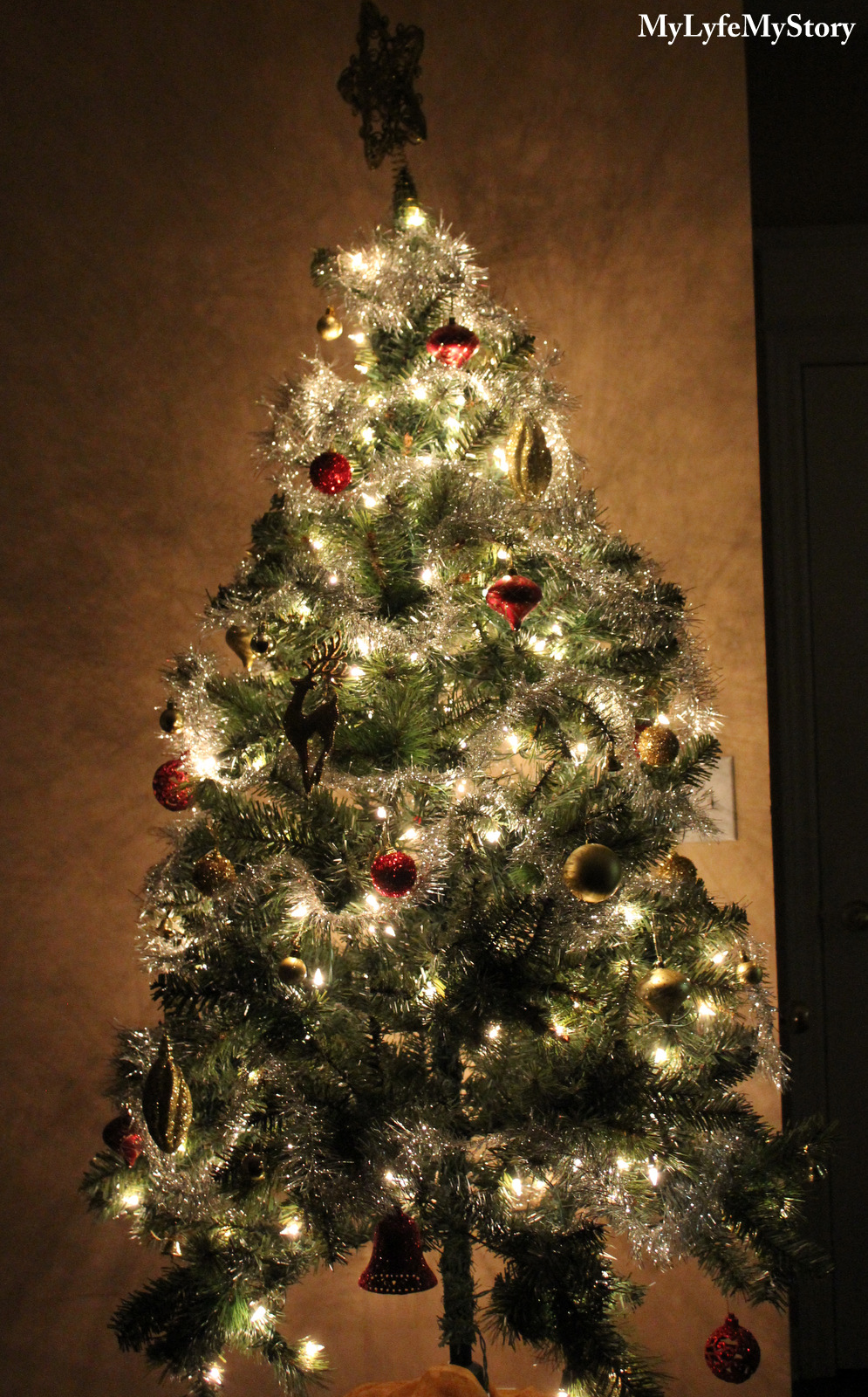 My Family Christmas Tree (10)