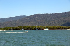 An inlet in Cairns, Australia