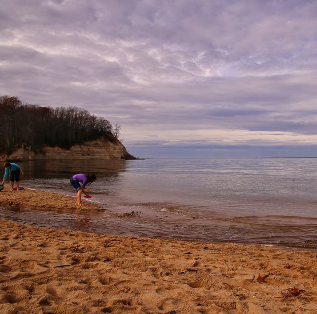 Shark Tooth Hunters at Westmoreland State Park in Virginia