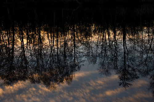 nature norfolk norfolkbroads broads sunset sky river water reflection landscape