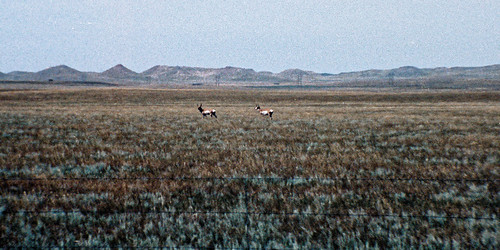mountain fence august hills states wyoming prairie 1994 g3 devilstower chinon pronghorn 2973 genesisiii chinongeneisiii