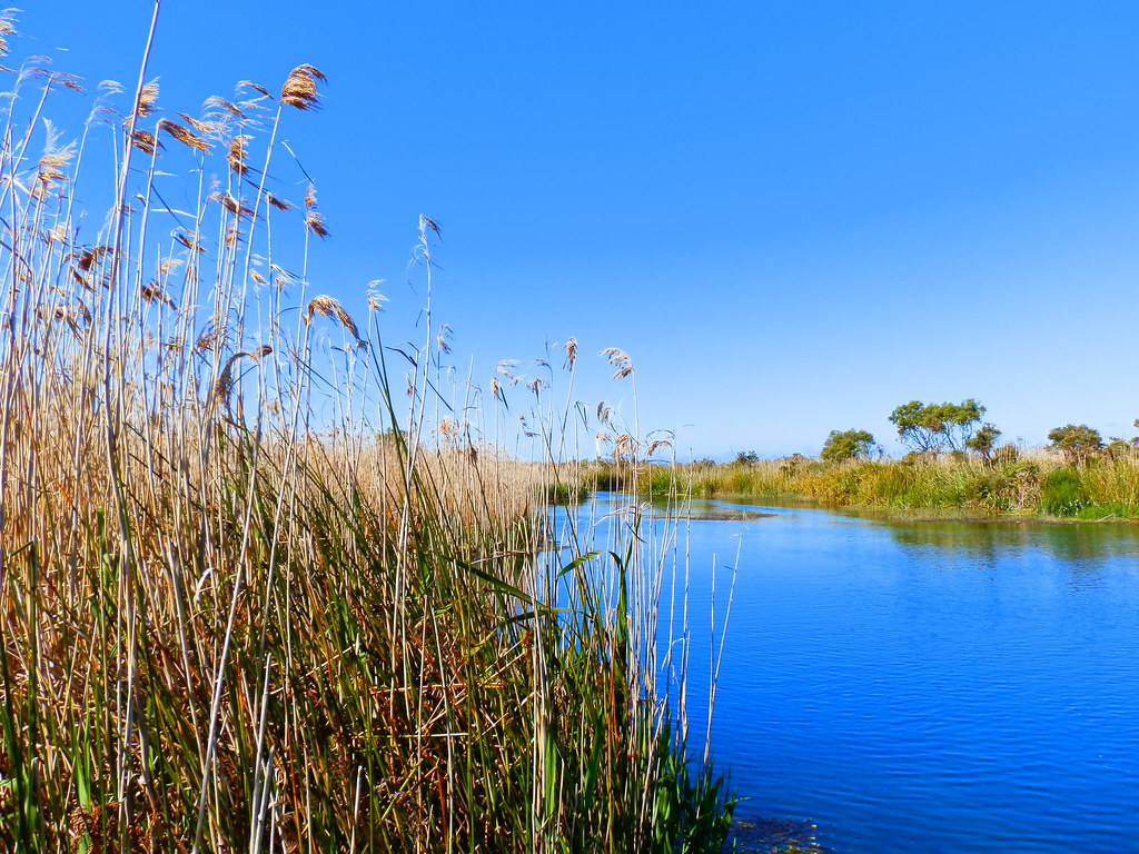 Ewens Ponds Conservation Park, Limestone Coast, South Australia
