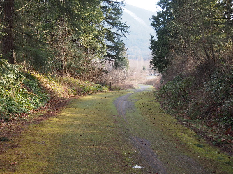 Mossy Olympic Discovery Trail: It's actually the old highway.