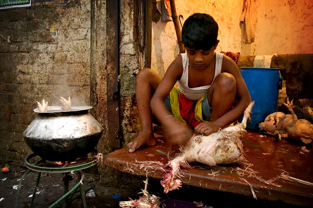 defeathering and cooking chicken in the street