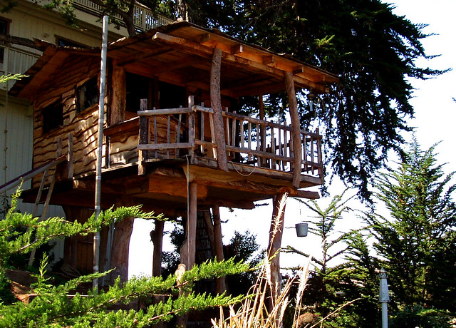 photo of a treehouse