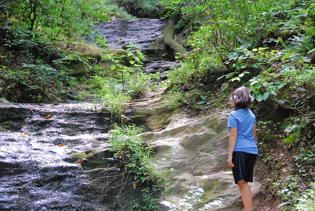 Little Mountain Falls is a scenic hike at Fairy Stone State Park, Virginia