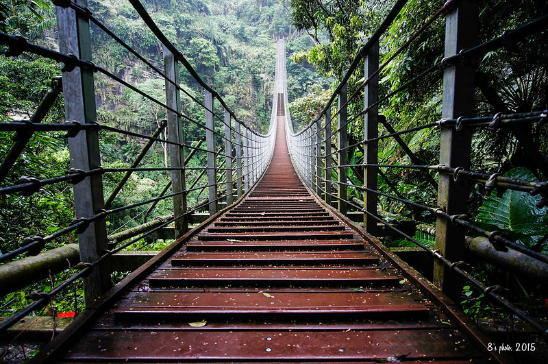 竹山梯子吊橋
