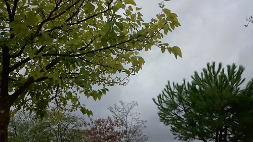 autumn cloud rain cloudy