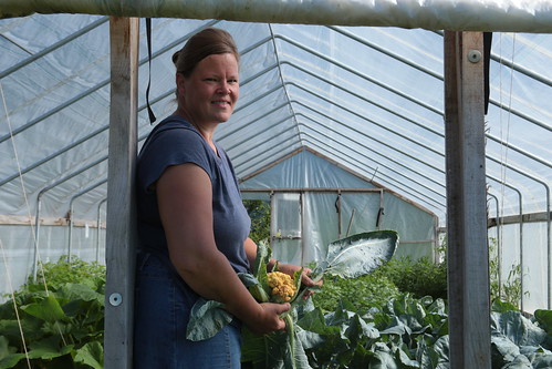 Beth Rinkenberger holding a cheddar cauliflower she grew in the high tunnel