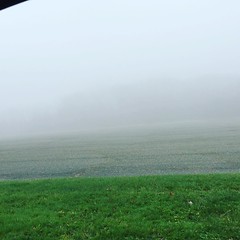 Crazy foggy today