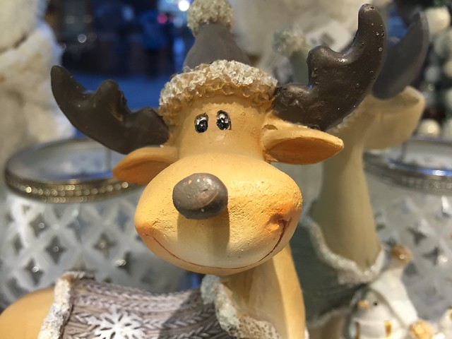 cute reindeer,  Prague