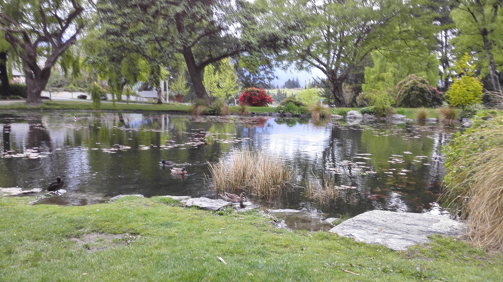 皇后镇花园-池塘