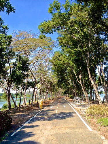 park blue bon trees sky plants lake green sports nature water bike bicycle landscape thailand cycling asia track bangkok biking recreation southeast bushes iphone nong iphone5 iphoneography