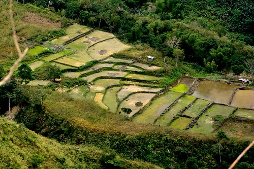 malibcong ricepaddies ricepaddyterraces ruralphilippines abra cordilleraregion
