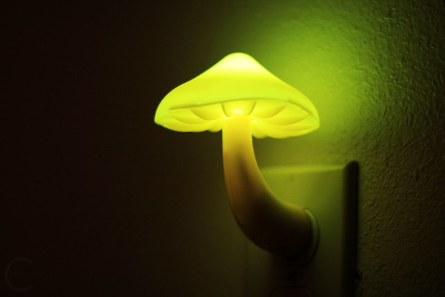 Fungi Night Light!