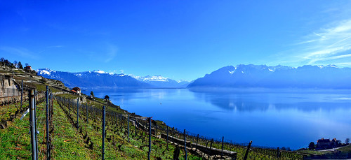 chexbres vaud suisse panorama lavaux vignes vignoble léman lac bleu fabuleuse