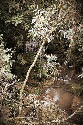 naturaleza nature creek photography photo foto camilo riachuelo arroyo andrés fotografía cundinamarca suárez pandi kamian