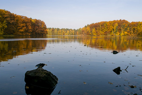 autumn trees lake fall de deutschland see herbst natur sigma sachsen landschaft wald indiansummer moritzburg coloredleafs mittelteich sigmadp1x dp1x