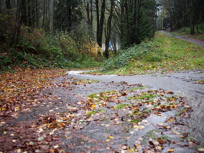 Flooded Issaquah–Preston Trail: Much of the trail acted as a creek bed with an inch of water flowing downhill with wet leaves causing pooling.  There were a couple places where creeks flowed across the trail, and there were places with 2–4 inches of flowing water.
