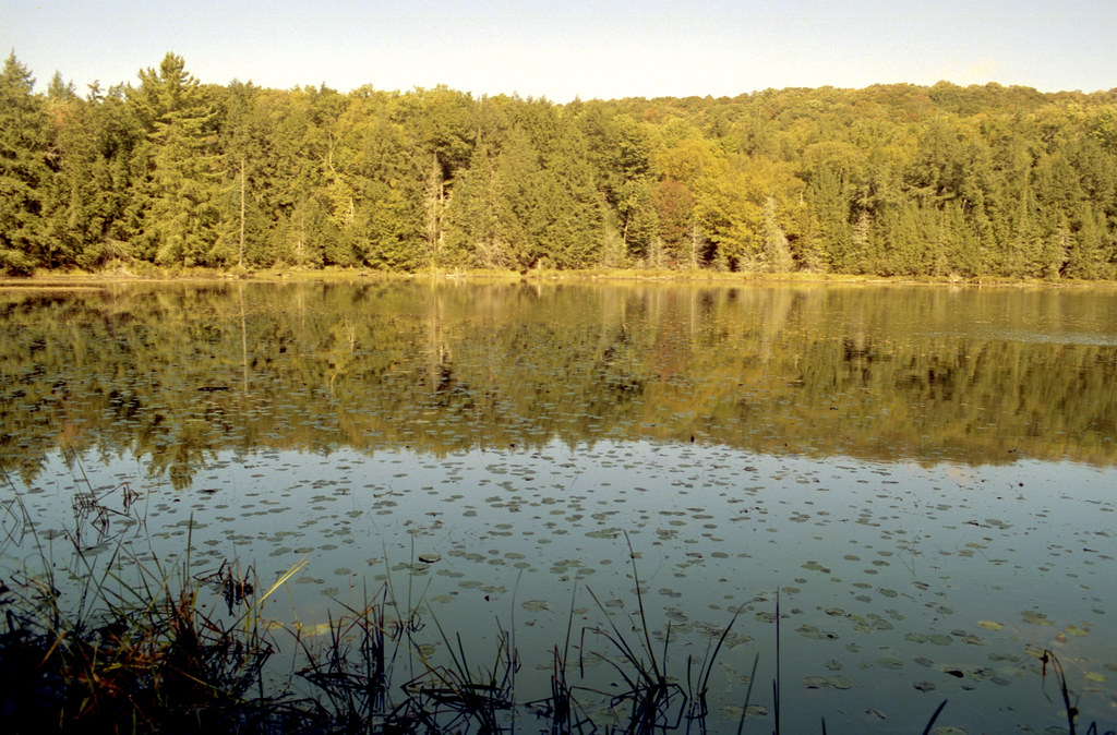 Reflection on Jackson Lake III_