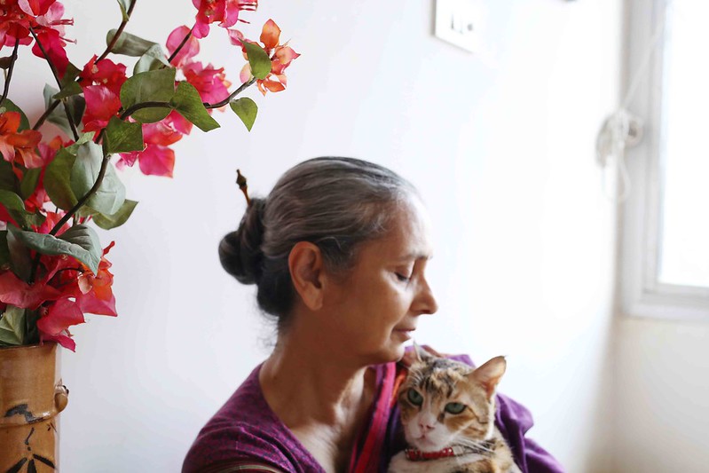 Mission Delhi - Sufi the Cat, Mehrauli