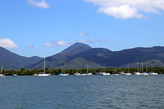 An inlet in Cairns, Australia