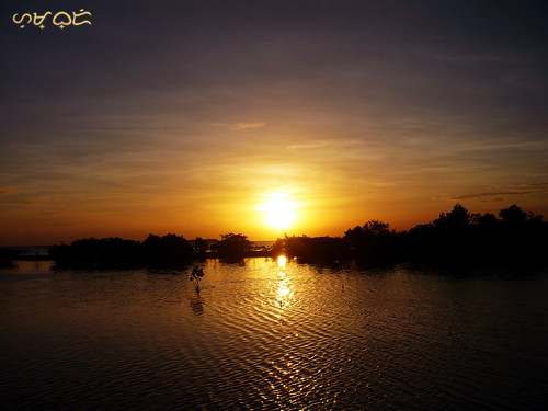 cebu mangrove olango water marsh sunset ripples