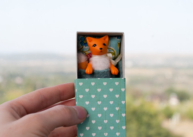 fox in a matchbox with hearts