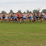 SC XC State Finals 11-7-201500350