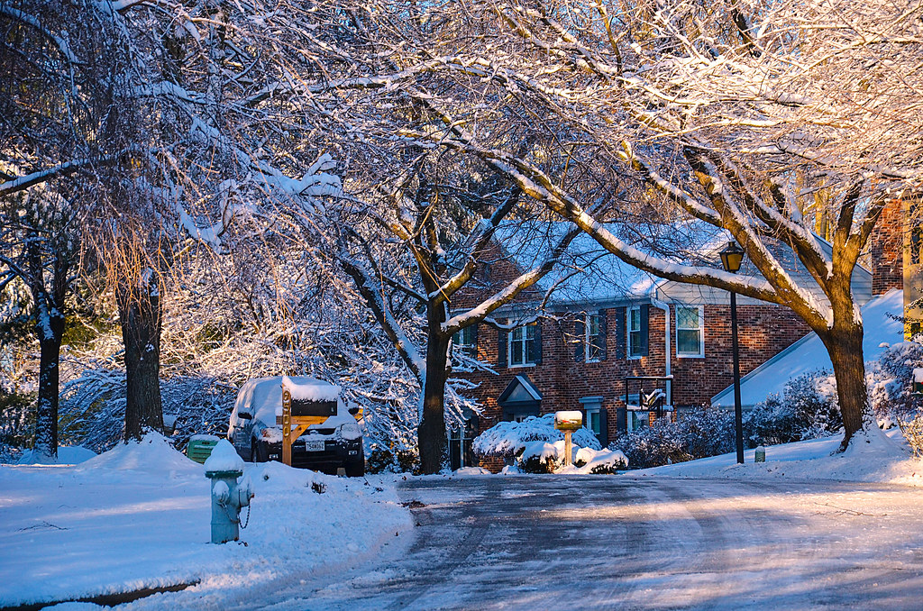 Winter in the Neighborhood