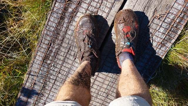Swamp hike shoes