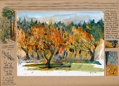 Sketchbook #93: Persimmon Orchard