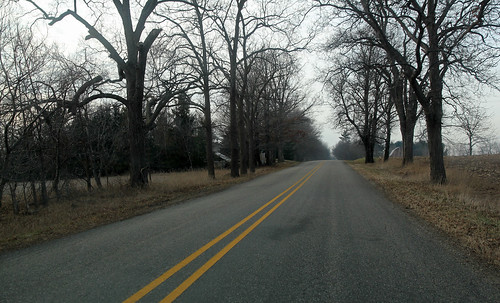 reading road rural thoroughfare jefferson township hillsdale county michigan pavement asphalt trees treebordered grass winter deciduous coniferous farmland field agriculture barn