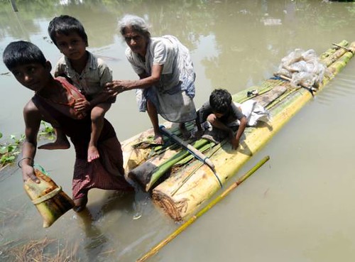 india flood disaster assam southasia brahmaputra 365disasters