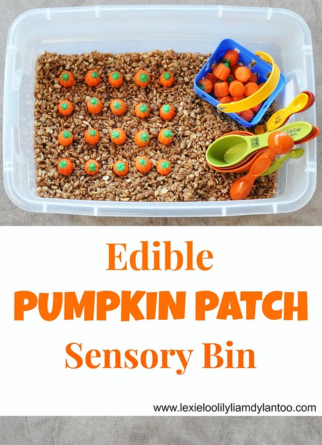 Edible Pumpkin Patch Sensory Bin