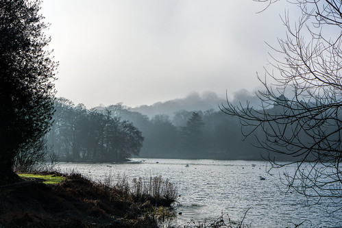 landscape lake lakeside ducks birds railway embankment miniature misty winter outdoor trees