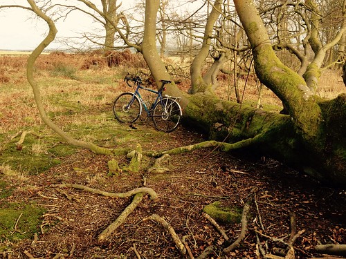 cycle cycling bicycle bicycling doune hillofrow views scotland winter