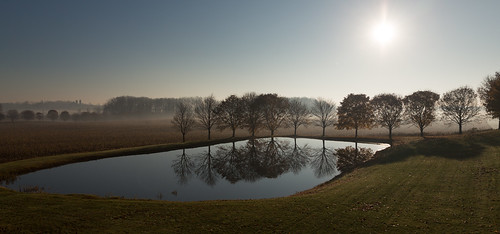 canada elora markheine ontario pilkingtontownship wellingtoncounty autumnleaves corn fall field fog leaves morning pond sun trees centrewellington ca