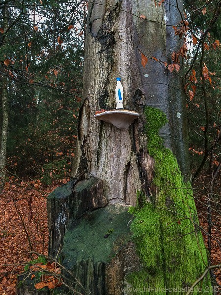 Maria im Wald