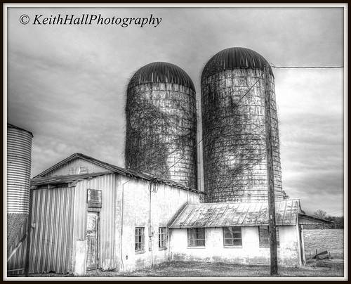blackandwhite silos silage familyfarm yadkincounty elkinnc keithhallphotography