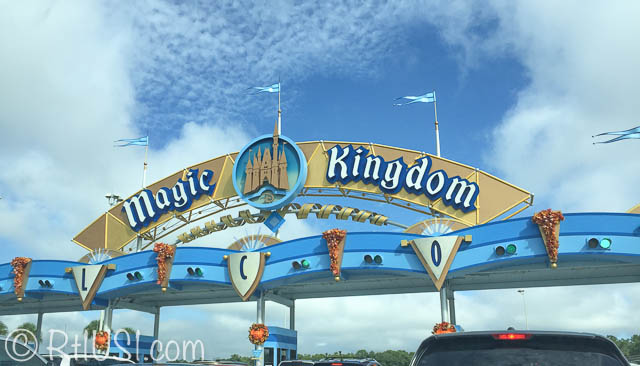 5 Tips to Survive the Magic Kingdom as an Adult