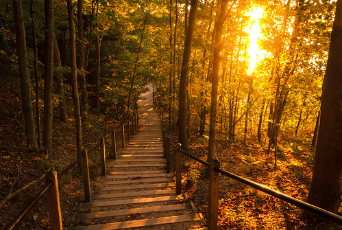 autumn sunset nature forest landscape golden evening michigan peaceful stairway trail luminous