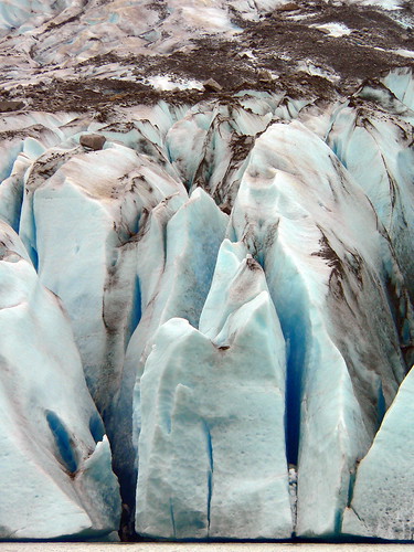 cruise ice alaska geotagged princess glacier mendenhall geolon1345495 geolat584305
