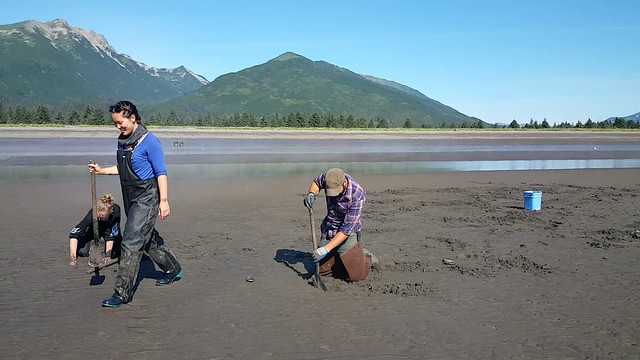 Clamming at SSCL